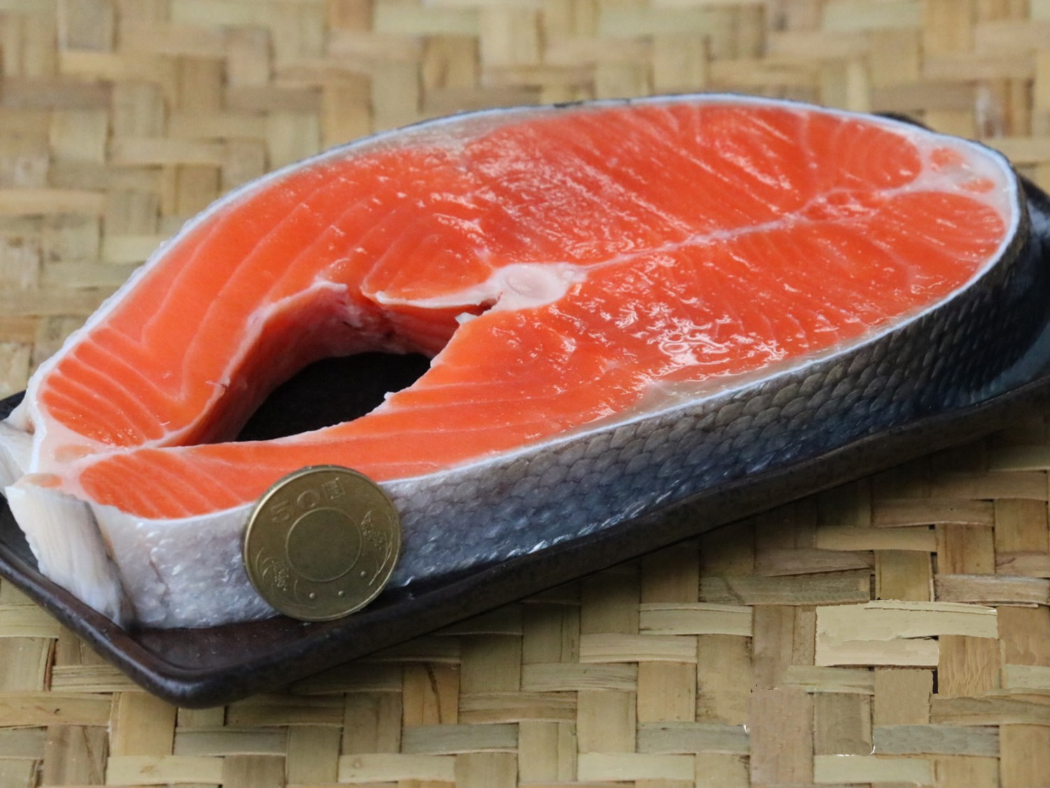 魚類